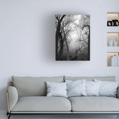 Art sur toile Roseanne Jones Winter Branches