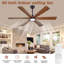 Ceiling Fan