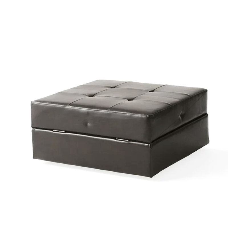 Cuir reconstitué brun de 31 pieds carrés - Unité de rangement pratique et élégante