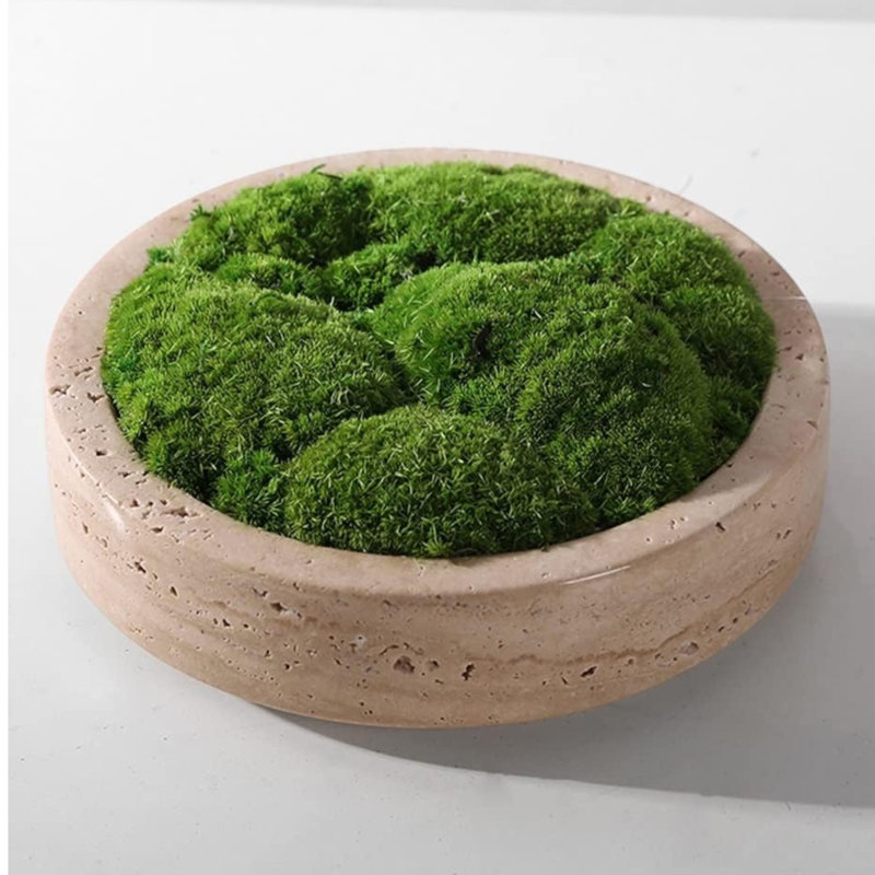 Modern Luxury Travertine Moss Garden Bowl, Beige