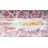 Nita Floral Indoor Rug-779086613