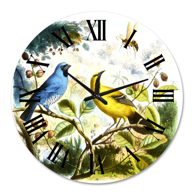Oiseau bleu et jaune dans la nature - Horloge murale traditionnelle, Moyenne