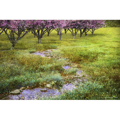 Summer Path - Wrapped Canvas Print