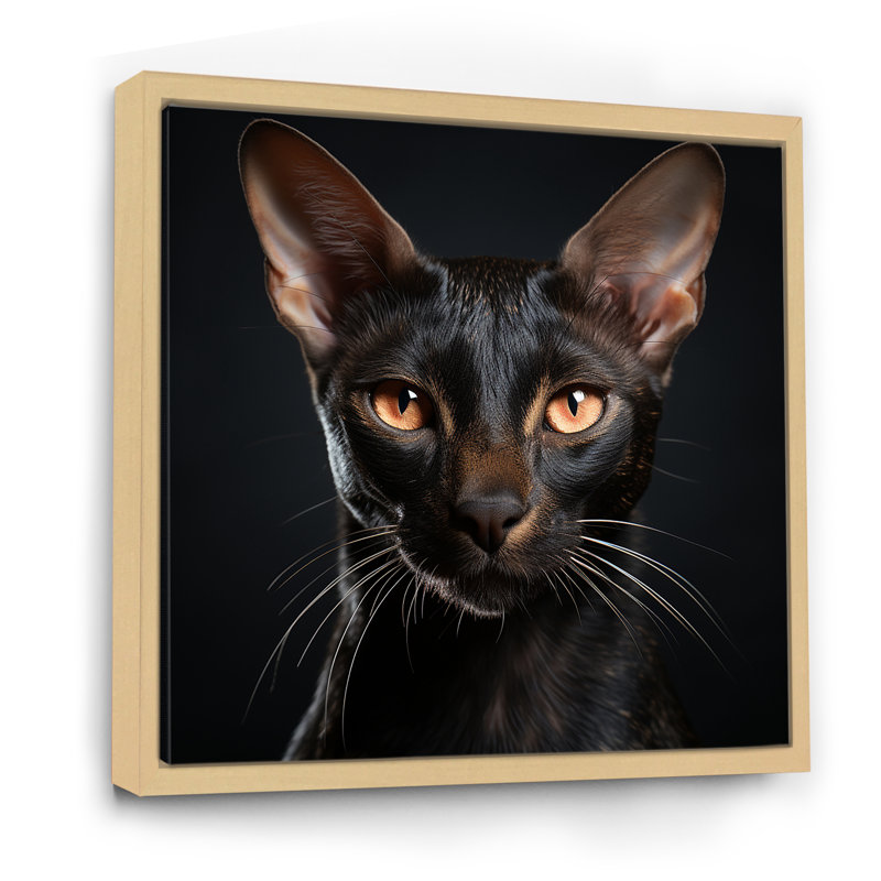 «Oriental Elegance Black Cat Portrait I», art mural sur toile, H 16 po x l 16 po x P 1 po, Cadre naturel flottant