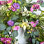 Couronne d'eucalyptus 24 po Spring Pansy pour porte d'entrée