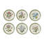 Botanic Garden Etchings, Set Of 6, 8" Plates