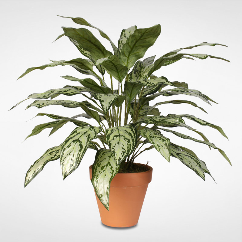 Faux Queen Plant Plant in Ceramic Pot