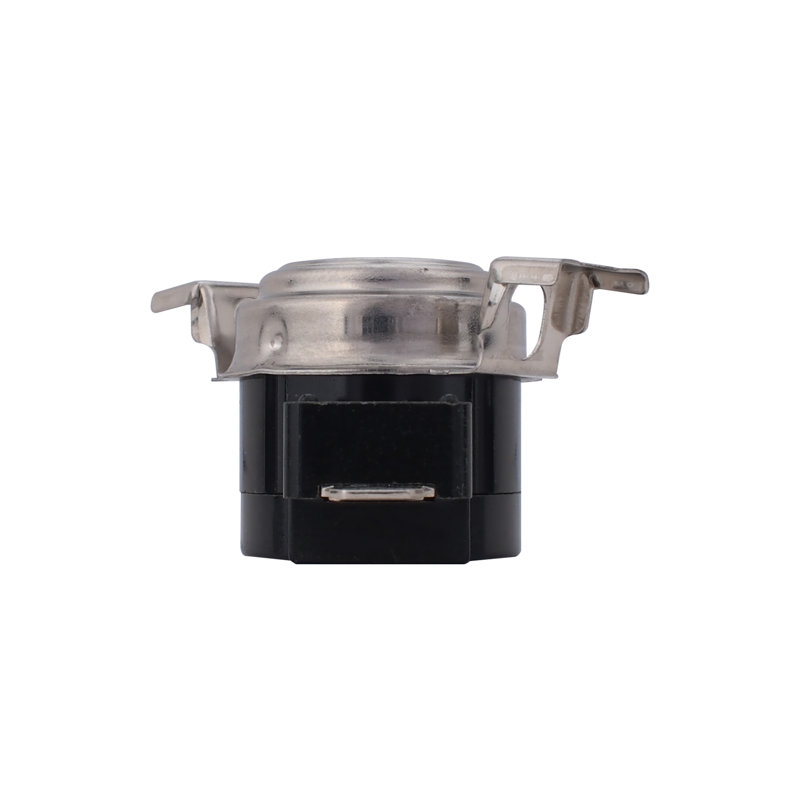 Whole Parts Thermostat