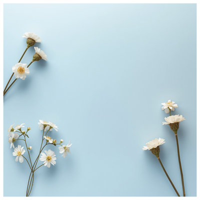 Édredon blanc sur fond bleu