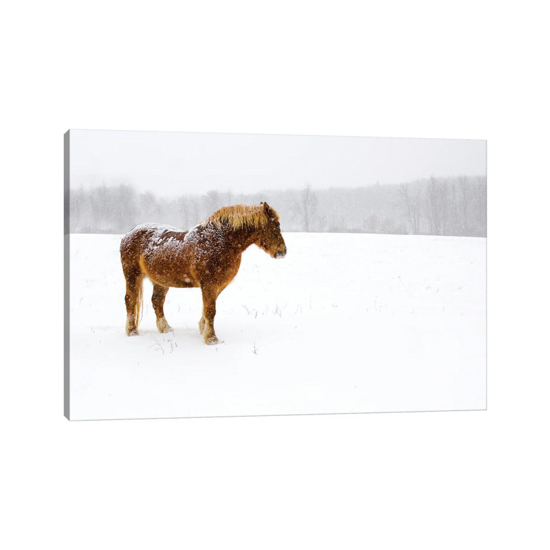 Snowbound 1 Piece Wall Art on Canvas, 66.04 cm H x 45.72 cm W x 3.175 cm D, Wrapped Canvas