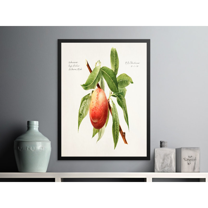 No Frame Print, 24x32