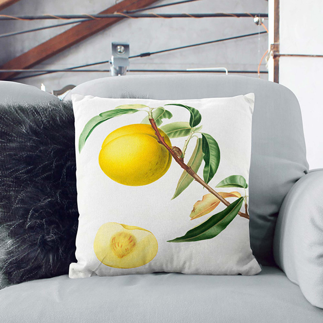 A Peach Tree by Giorgio Gallesio Cushion with Filling
