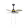 Arnol 95cm Ceiling Fan with LED Lights