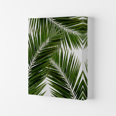 Palm Leaf III - Print