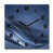Black/Navy Blue