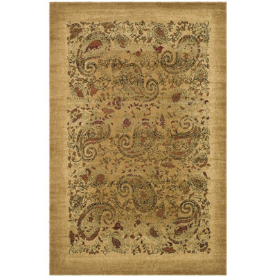Klose Performance Paisley Rug