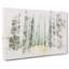View Of A Pine Tree Forest - Wrapped Canvas Print-56664287