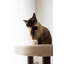 Arbre à chat ou condo 27 po