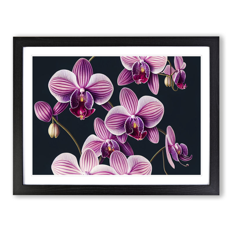 Sparkling Orchid Flowers - Single Picture Frame Print, 46cm H x 64cm W x 2cm D, Black