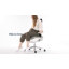 Chaise de travail Haworth Fern-91925238-72023973