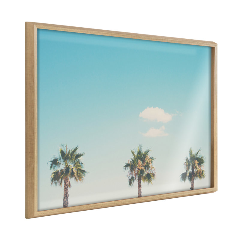 «Darrus A Trio Of Palm Trees» par Laura Evans - reproduction à cadre flottant, Brun