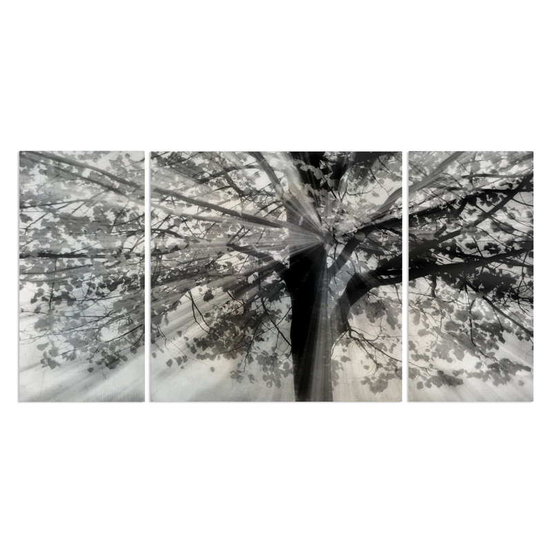 «Story from Light and Shadow» - Reproduction d'images multi-pièces sur toile, H 40 po x l 60 po x P 1,5 po