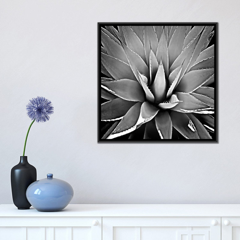 « succulent iii », impression sur toile, H 18 po x l 18 po x P 1,5 po, Toile avec cadre noir, Pas de tapis