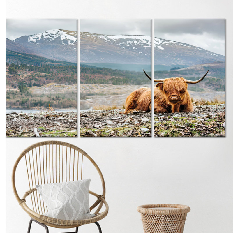«Highland Cow», reproduction sur toile 3P, H: 35,4 po x l: 70,9 po