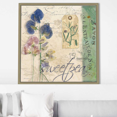 " Sweet Pea " by Carol Robinson