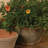 Almada Handmade Pot Planter
