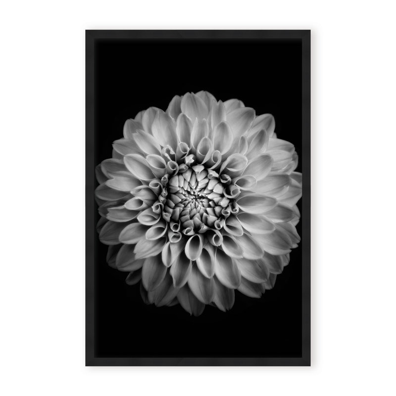 «Nature Inspired Marigold» par Alex Zhao - Photographie de cadre photo sur papier, H 24 po x l 16 po, Black