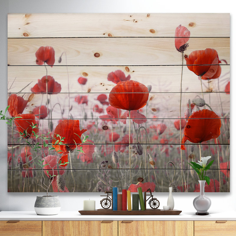 Incroyable jardin de fleurs de coquelicots rouges Incroyable jardin de fleurs de coquelicots rouges - sur