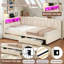 Upholstered Storage Bed-233649136