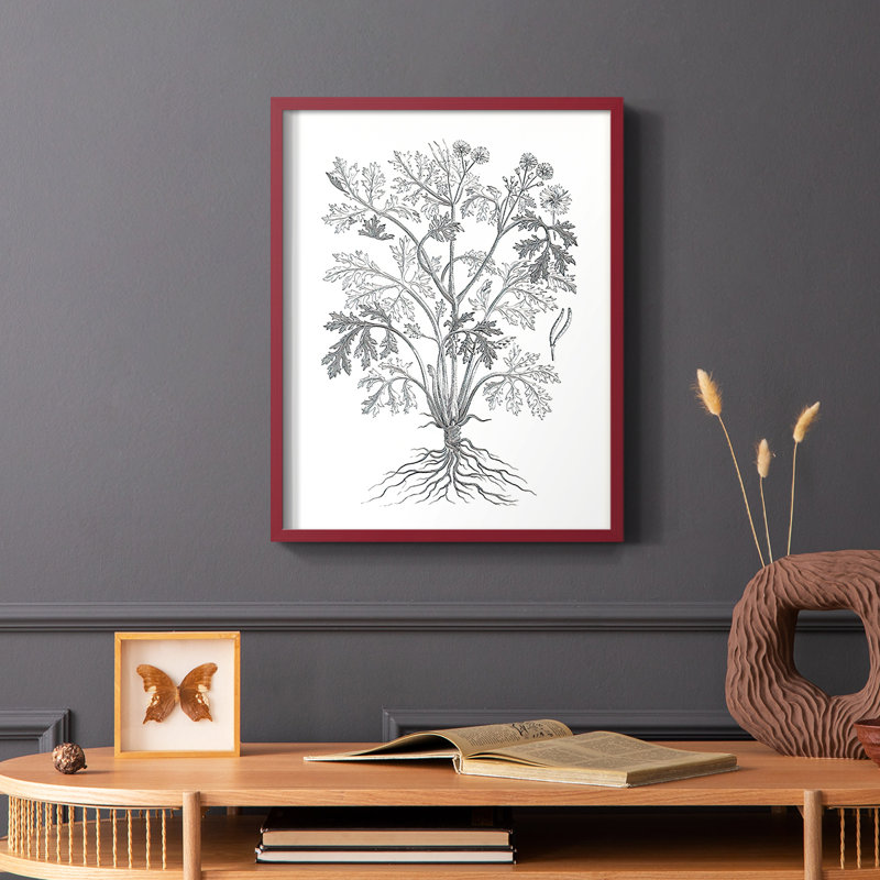 «B&W Plant Spechantillon II», reproduction encadrée - bois massif, Rouge, H 10 po x l 8 po