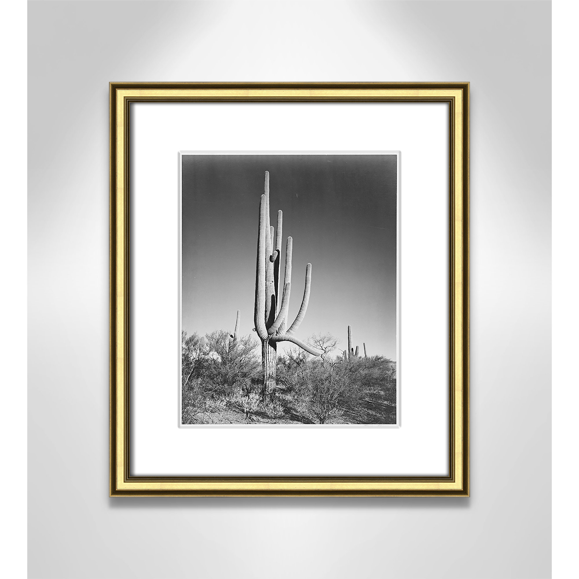 Cactus In Saguaro National Monument In Arizona by Ansel Adams, Gold , 16.25" H x 14.25" W x 0.88" D