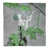 Vert / Gris