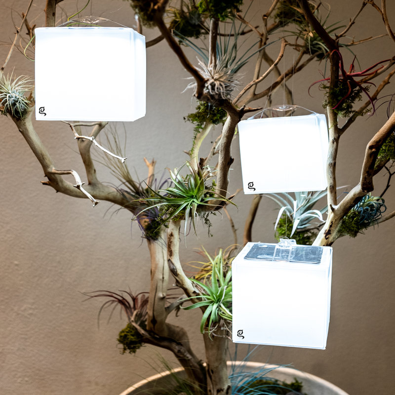 Luminaire suspendu d'extérieur à piles 4,5 po