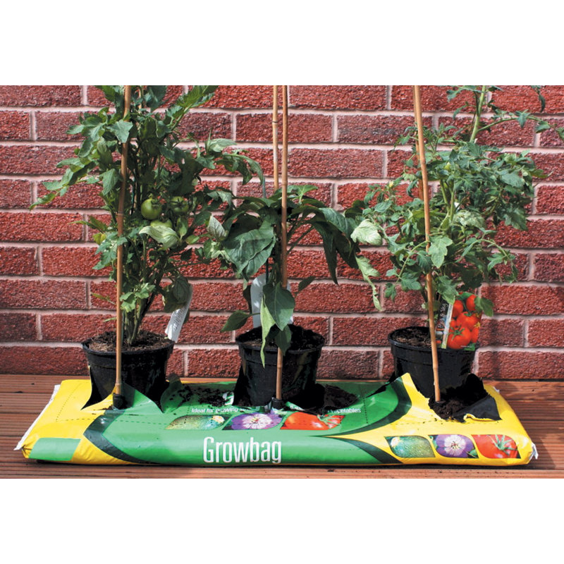 Spoffo Firm Fix Cane Supports 3pk