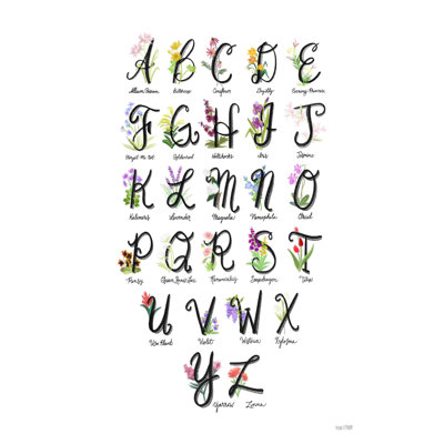 Alphabet floral blanc 2884381