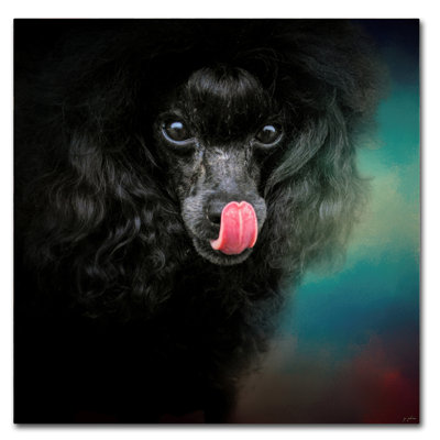«Traiter Snatcher Toy Black Poodle» de Vidur, impression sur toile tendue