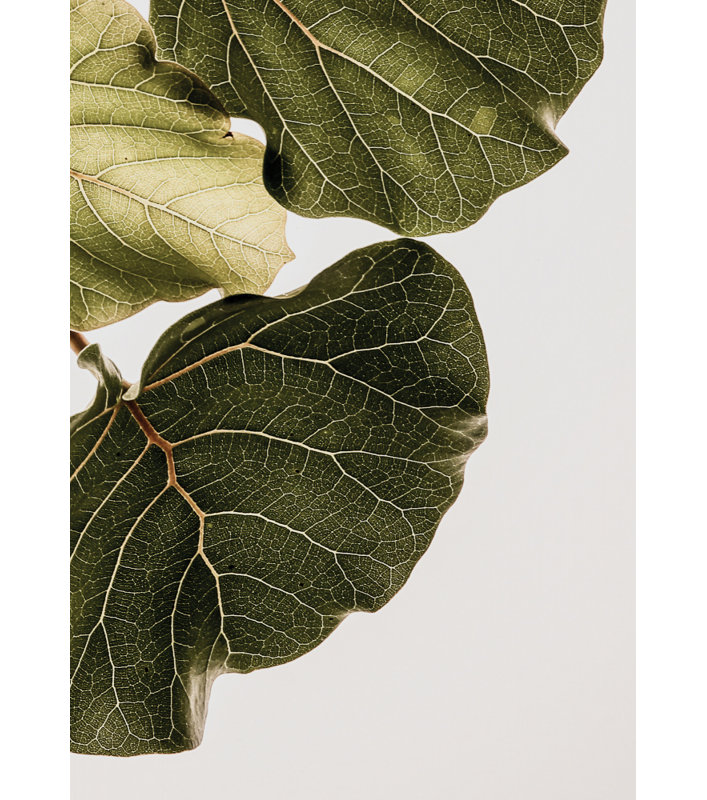 Wrapped Canvas Print, 60.96 cm H x 91.44 cm W