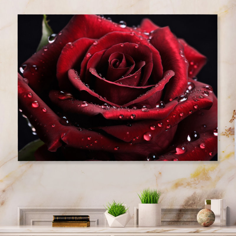 Rose rouge avec gouttes de pluie II - impression sans cadre sur métal, H 30 po x l 40 po x P 1 po