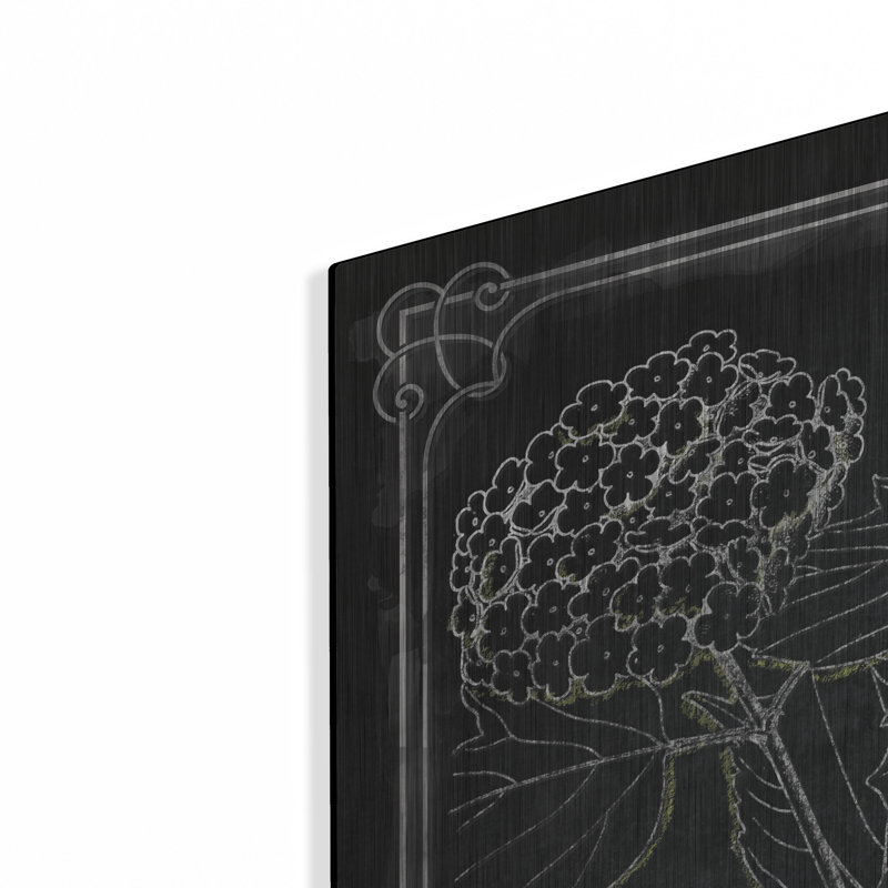 «August Chalkboard Botanical 1» par Augusta, H 36 po x l 36 po