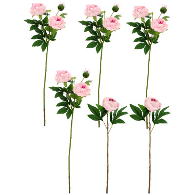 Pivoine à volants, touche naturelle, boîte de 6 - 23-32 pouces