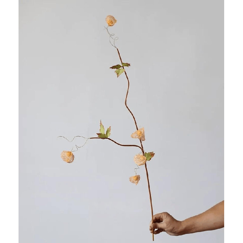 Tige de branche de lanterne et baies - 34 po, Veiled Red, [D] 12 Stems