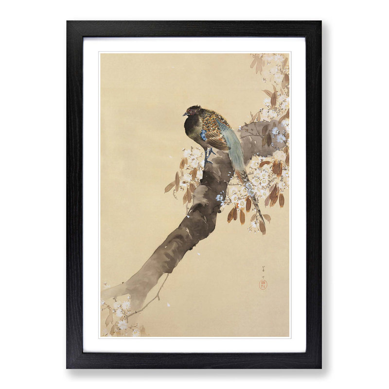 Pheasant on a Cherry Blossom Tree by Ohara Koson - Picture Frame Painting Print, 48cm H x 36cm W x 2cm D, Black Framed