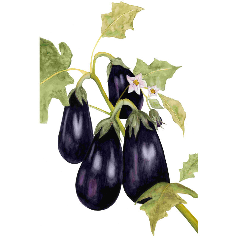 Aquarelle aubergine, H 18 po x l 12 po