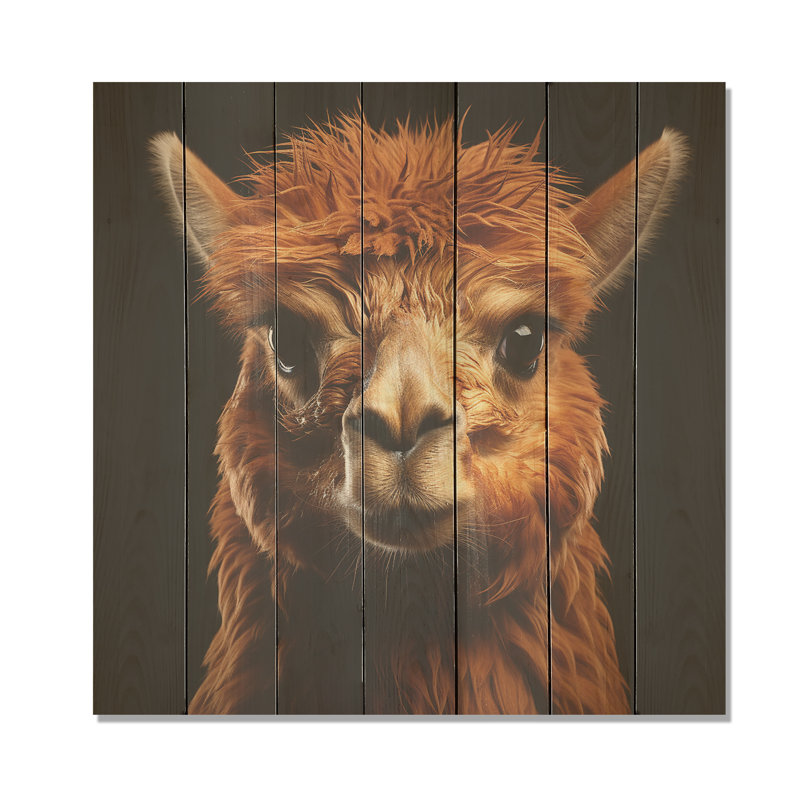 Serene Alpaca In Natural Elegance - Alpaca On Wood Print, 30" H x 30" W