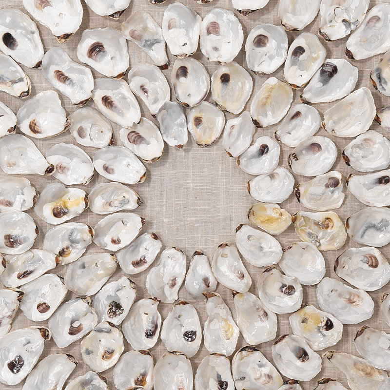 Maldives, art mural encadré de coquillages d'ormeau blanc