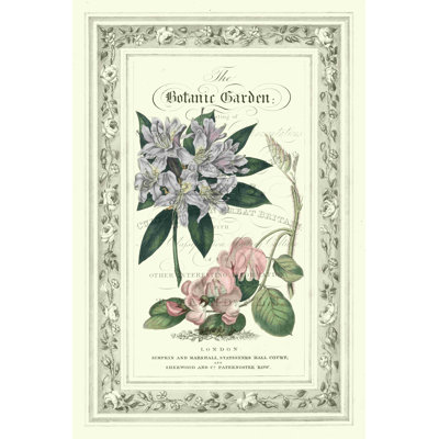 Le jardin botanique II